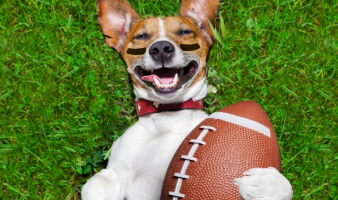 Trivia: “SUPER BOWL SUNDAY”