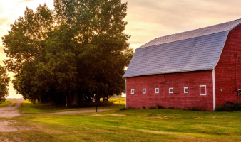 Trivia: “E I E I O”