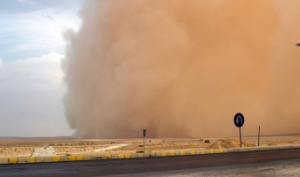 Trivia: “STORMY!”