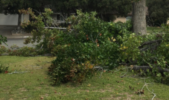 Prayers for the Presidency