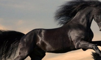 Trivia: “IT IS WELL”