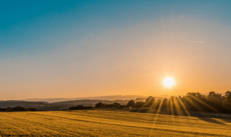 Make Hay While the Sun Shines