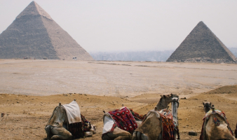 The Light at the End of the Tunnel