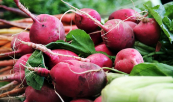 There’s Treasure in the Trash