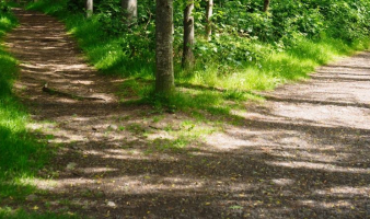 Which Way to Heaven?