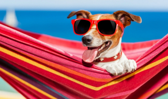 What’s Happening in July?