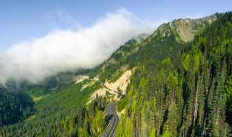 TRIVIA: OVER HILL AND . . .