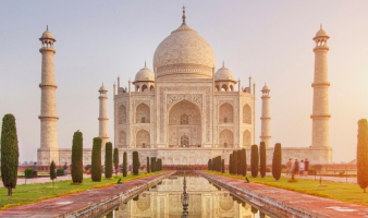 Trivia: “WHO ARE THE 20?”