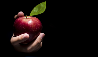 Don’t Blame It On The Devil