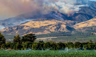 Thriving in Tough Times