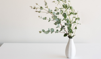 Triva: A “RIFF” ON WHAT’s UP DOC