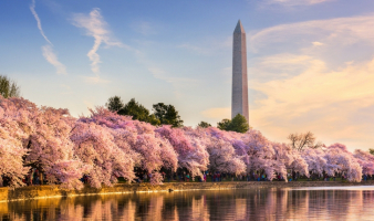 Trivia: “WHICH WAY?”