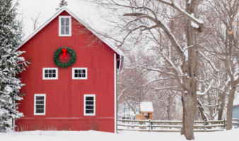 Trivia: All Things White Christmas