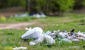 Garbage & The 4th of July