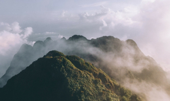 What Purpose and Facebook Have in Common