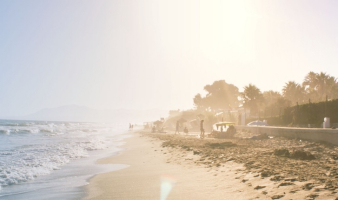 Trivia: “SUMMER OF LOVE”